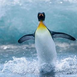 fajlinux's profile picture. #Opensource lover! opinions are my own