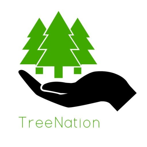 Raise awareness on deforestation. What do you want your world to look like?
