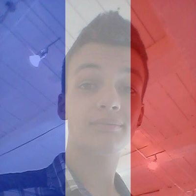 TimotheGrosso's profile picture. 