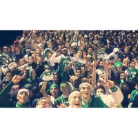 Novi Cat Pack (@novi_nation) 's Twitter Profile