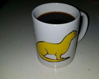 quicheenfolie's profile picture. OFF