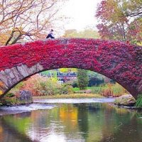 Margaret Rogan (@rogan_margaret) 's Twitter Profile Photo Margaret Rogan (@rogan_margaret) 's Twitter Profile Photo