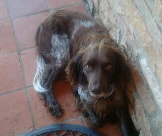 DucrotVerdun's profile picture. 