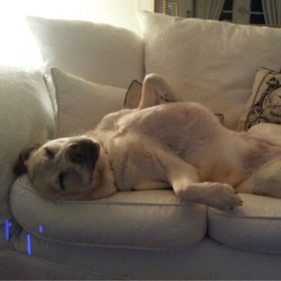 bigredfish67's profile picture. 