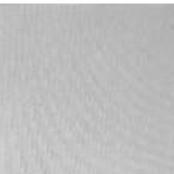 kaysonbowers's profile picture. •