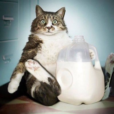 ShannonPB1's profile picture. 