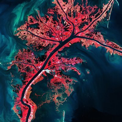 siweizhilu's profile picture. 