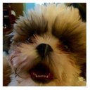 Jason Bowker - @jbowker02 - Twitter