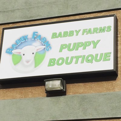 BabbyPuppyBoutique (@PuppyBabby) | Twitter