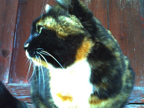 kenZi__Otsu's profile picture. 