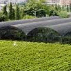 paranet_jaring's profile picture. 