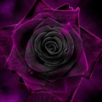 viki96's profile picture. 