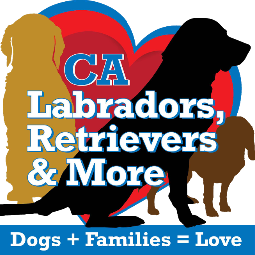 Rescuers of Labradors, Retrievers, and mixed breed dogs in San Diego, San Bernardino, and Orange County. https://t.co/tJfh8LvtH3
https://t.co/BRlP8mr2s0