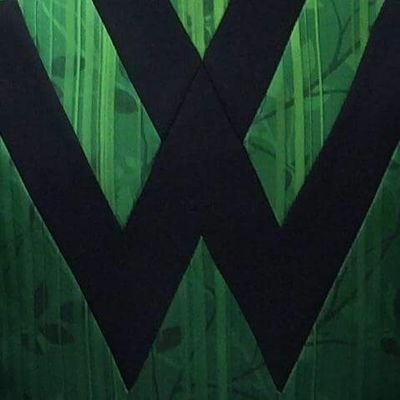 TWHMarchingBand's profile picture. The official Twitter feed for The Woodlands High School Marching Band.