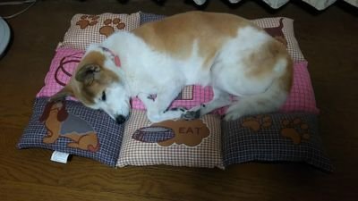 yuno26iku115's profile picture. 