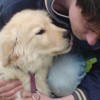 harm luttikhedde (@luttikhedde) 's Twitter Profile