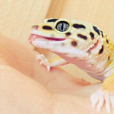 tandfsaitama's profile picture. 