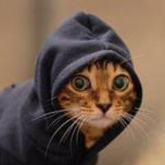 byakuya0509's profile picture. 相互フォロー歓迎！生涯Geekであり続けることを心に誓った男。現在大学生。趣味垢。誰でもウェルカム！For net use.Just follow me and enjoy chatting.