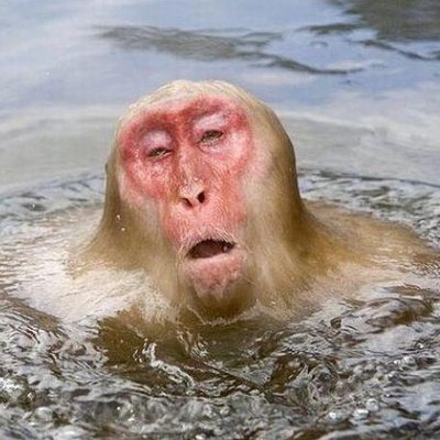 つい笑っちゃうおもしろ画像 Warattyaugzou のツイプロ つい笑っちゃうおもしろ画像 Warattyaugzou のツイプロ