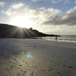 IrelandUndisco's profile picture. 