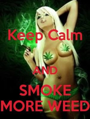 Samiscool641's profile picture. 