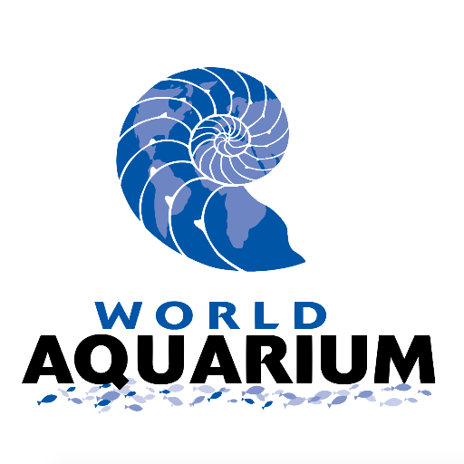 The World Aquarium is a non-profit  aquarium located on Laclede's Landing! Please visit our website for private tours, venue rental, and school programs!