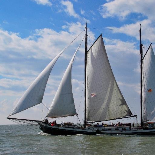 bontekoereizen's profile picture. 