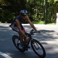 RogerMarolt (@rogermarolt) 's Twitter Profile