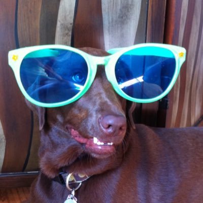 pipeejo33's profile picture. Piper - born in Kansas, avid runner, best described as 'Cali surfer girl vibe - laid back & playful!'