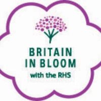 T&C in Bloom (@tcinbloom) 's Twitter Profile