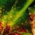 Agronotas (@agronotas) Twitter profile photo Agronotas (@agronotas) Twitter profile photo