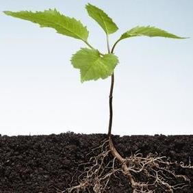 518_Organics's profile picture. Saratoga Organics is the Capital Region's finest indoor/outdoor gardening supply store where the growing season never ends!