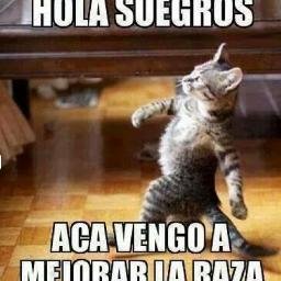 JoseRey159's profile picture. 