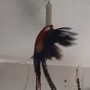 roger perkins - @TienSunMoon - Twitter