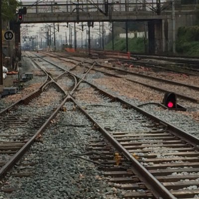 JoyauxOlivier's profile picture. 