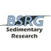 BSRG (@brit_seds) Twitter profile photo