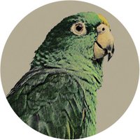 Palabras Prestadas (@palabraprestada) 's Twitter Profile