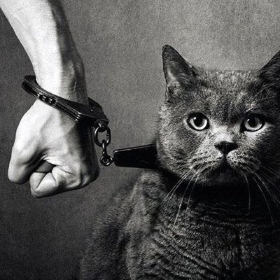 tralenubi's profile picture. c’è aria di preistoria.