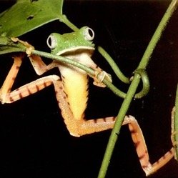 jeannemac01's profile picture. 