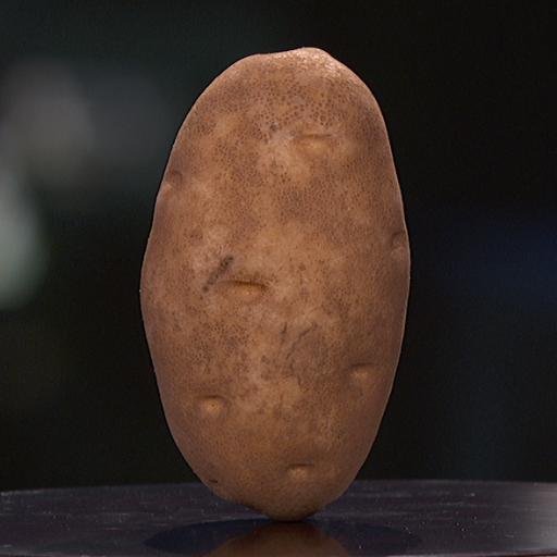 The 1D Potato