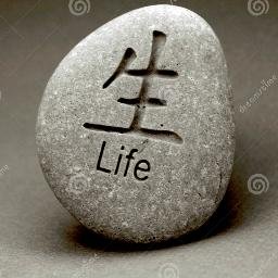 Enjoylifeworld's profile picture. 