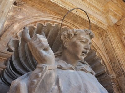 sentollacoves's profile picture. 