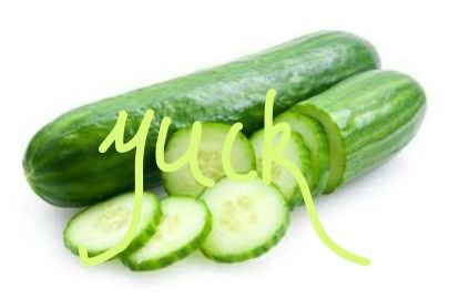 praying for all those cucumber lovers of the world. hope u get better soon x

(opinions are real, but completely satirical)