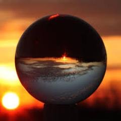 sibellaforza's profile picture. #Resist