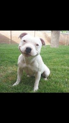 _maria_pineda_'s profile picture. MARVEL_Big Bang Theory_ Arctic Monkeys-5sos-All Time Low-Green Day-Fall out boy-Guns and Roses-Sleeping With Sirens-Simple Plan-AC/DC