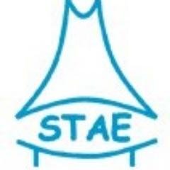 STAE - Secretariado Técnico de Administração Eleitoral, Timor-Leste