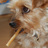 MaryJoanna's profile image