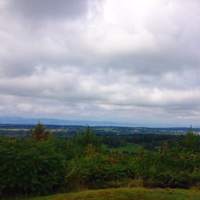 troivt's profile picture. 