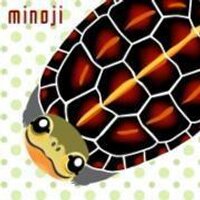 みのじ (@kameminoji) 's Twitter Profile Photo みのじ (@kameminoji) 's Twitter Profile Photo