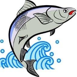 有限会社ウオセイ 秋鮭とは思えない程脂のりが非常に良いユーコンチャム 貴重な原料の為 数量限定でお出ししております T Co Dpq4g3xmpk 塩鮭 鮭 秋鮭 T Co Ms0m1j8vem 有限会社ウオセイ 秋鮭とは思えない程脂のりが非常に良いユーコンチャム 貴重な原料の為 数量限定でお出ししております T Co Dpq4g3xmpk 塩鮭 鮭 秋鮭 T Co Ms0m1j8vem
